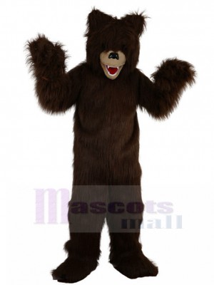 Bear mascot costume