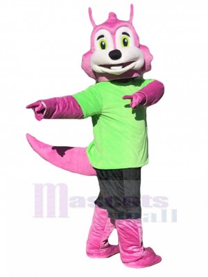 Squirrel mascot costume
