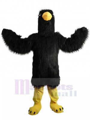 Eagle mascot costume