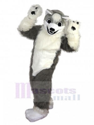 wolf mascot costume