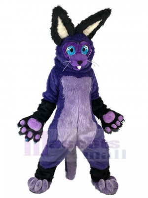 Rabbit mascot costume