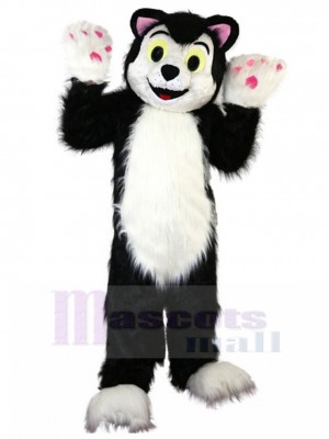 cat mascot costume