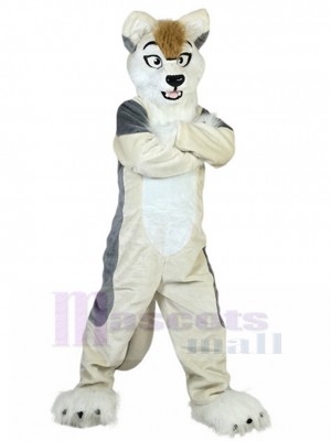 Dog mascot costume