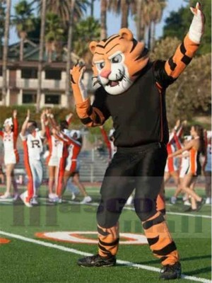 Tiger mascot costume
