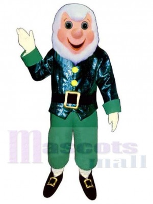 Friendly Elder Elf Mascot Costume Cartoon
