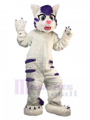 cat mascot costume