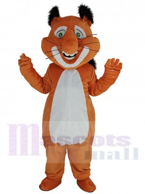 Lovely Chubby Squirrel Mascot Costume Animal