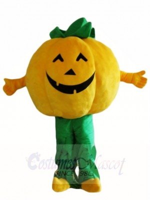 Pumpkins Plant Mascot Costumes Vegetable