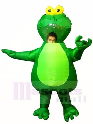 Green Frog Inflatable Halloween Xmas Costumes for Adults