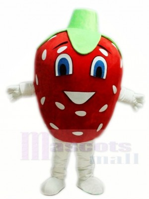 Strawberry Mascot Costumes Fruit Food Plant
