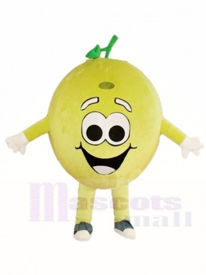 Happy Lemon Lime Mascot Costumes Fruit Plant 