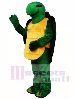 Pond Turtle Mascot Costume