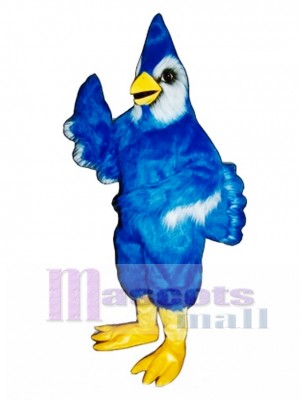 New Blue Jay Mascot Costume