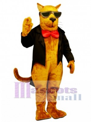 Cute Strayed Cat Mascot Costume Animal 