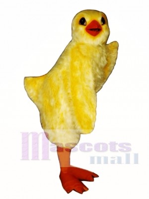 Cute Chick Mascot Costume Poultry 