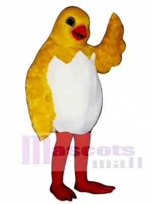 Cute Chick In Egg Mascot Costume Poultry 