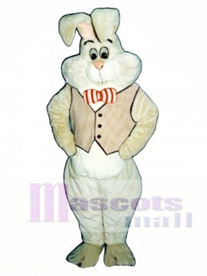 Easter March Hare Bunny Rabbit Mascot Costume Animal
