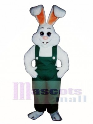 Easter Bunny Rabbit Boy Mascot Costume Animal