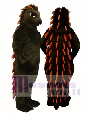 Porcupine Mascot Costume Animal 
