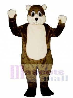 Woodchuck Mascot Costume Animal 