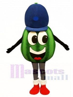 Madcap Watermelon Mascot Costume Fruit