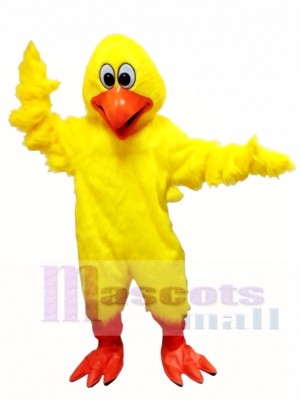 Cute Clucking Chicken Mascot Costume