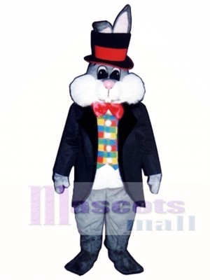 Cute Easter Bunny Rabbit In Hat Mascot Costume Animal