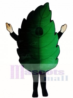 Leaf Mascot Costume Plant