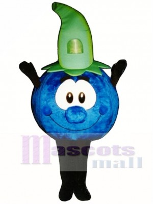 Bobby Blueberry Mascot Costume Plant