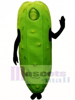 Dill Pickle Mascot Costume Fruit