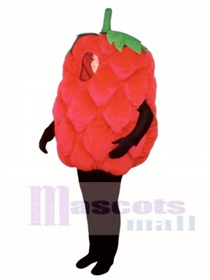 Fresh Raspberry Mascot Costume Fruit