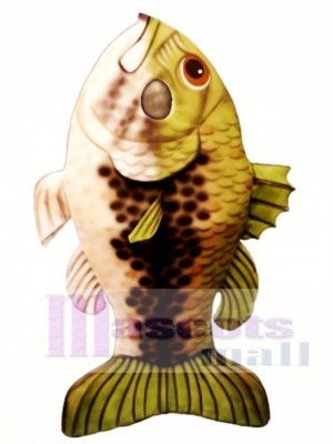 Large Mouth Bass Fish Mascot Costume Animal