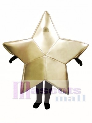 Star Christmas Mascot Costume Christmas Xmas