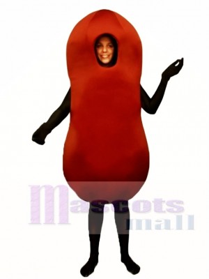 Kidney Bean Mascot Costume Vegetable