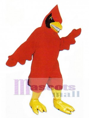Happy Cardinal Mascot Costume Bird