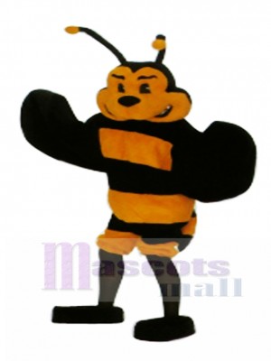 Bee Mascot Costume Insect