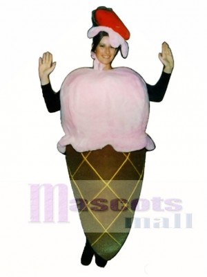 Ice Cream Cone Mascot Costume