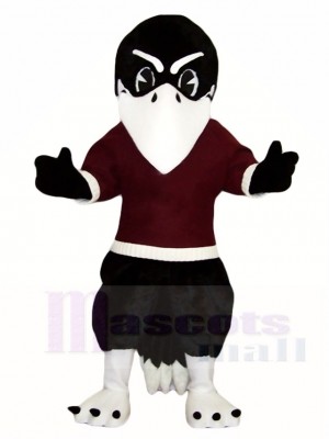 Black Bird Raven Mascot Costumes Animal