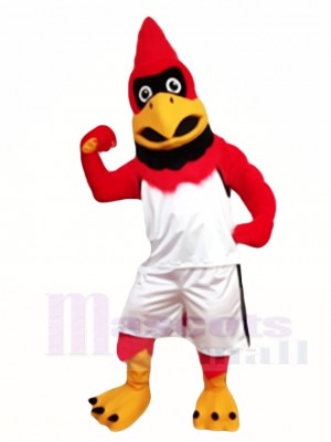 Cardinal Red Bird Mascot Costumes Animal