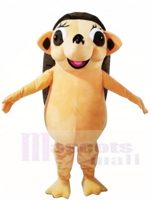 Hedgehog Mascot Costumes Animal 