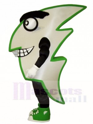 Flash Mascot Costumes 