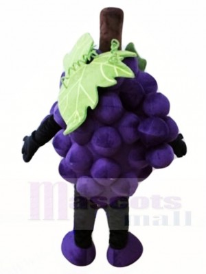 Purple Grape Mascot Costumes Fruit Food Plant