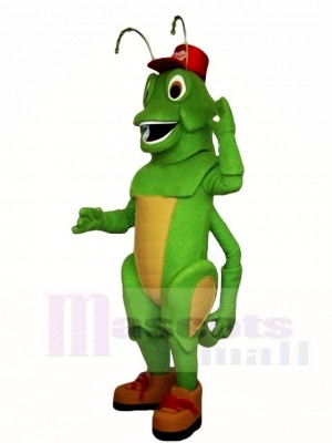 Cute Green Grasshopper Mascot Costumes Insect