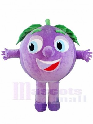 Purple Grapes Mascot Costumes Fruit Plant