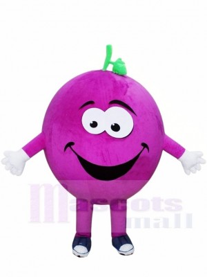 Purple Grapes Mascot Costumes Fruit Plant