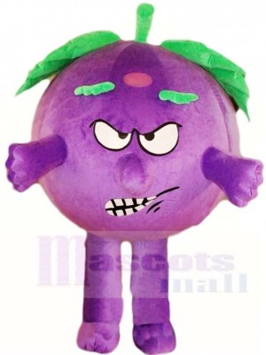 Angry Eggplant Mascot Costumes Vegetable Plant