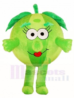 Green Watermelon Mascot Costumes Fruit 