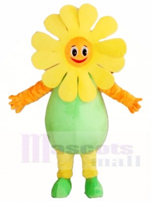 Sunflower Mascot Costumes Plant