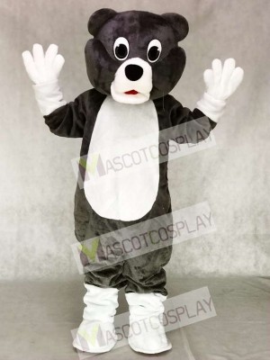 Cute Bear Cub Mascot Costume Animal 