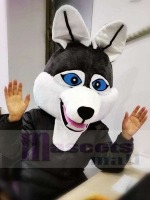 Dark Gray Wolf Mascot Head ONLY Animal